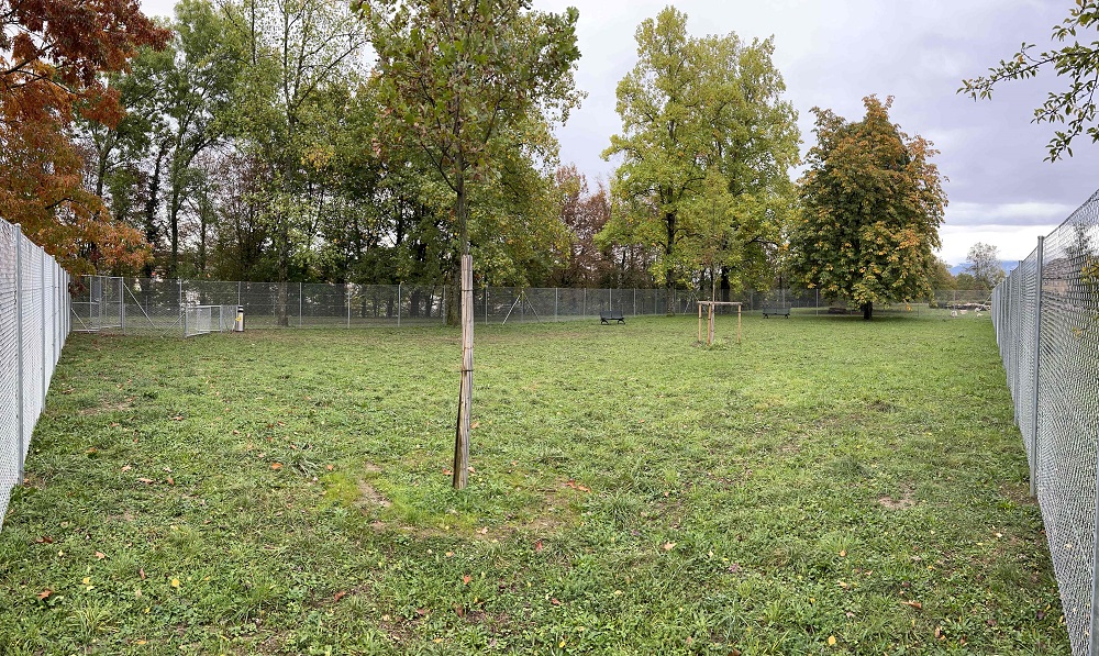 Parc canin 03 web