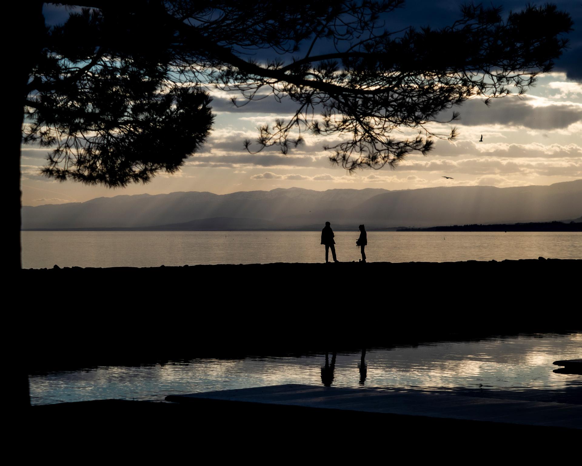 Concours photos 29
