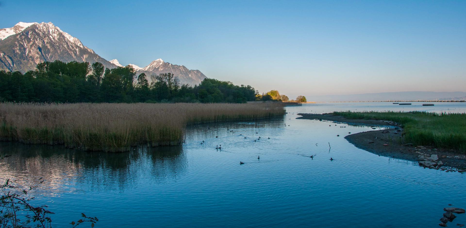 Concours photos Ducommun Yves « Réveil paisible »