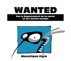 Moustique tigre