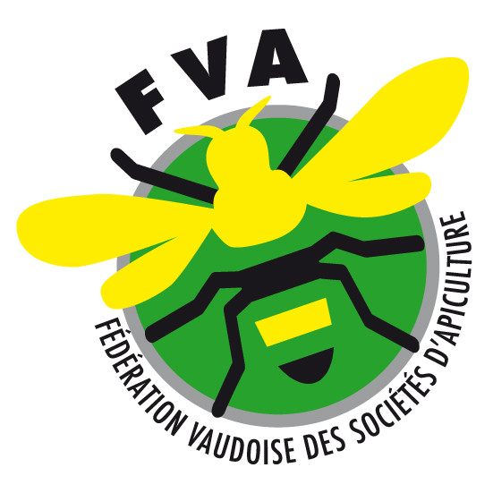 FVA
